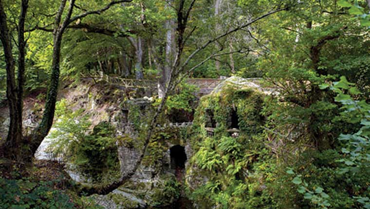 Tollymore Forest Park, County Down