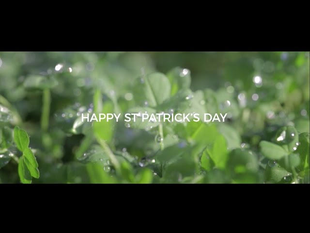 Tourism Ireland wishes the world a Happy St Patrick’s Day