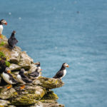 skellig-michael-is-a-unesco-world-heritage-site-104-HR