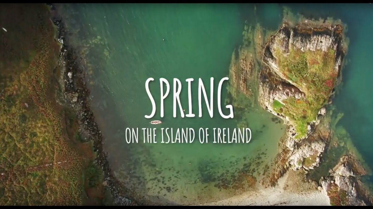 Why you should travel to Ireland in the spring!