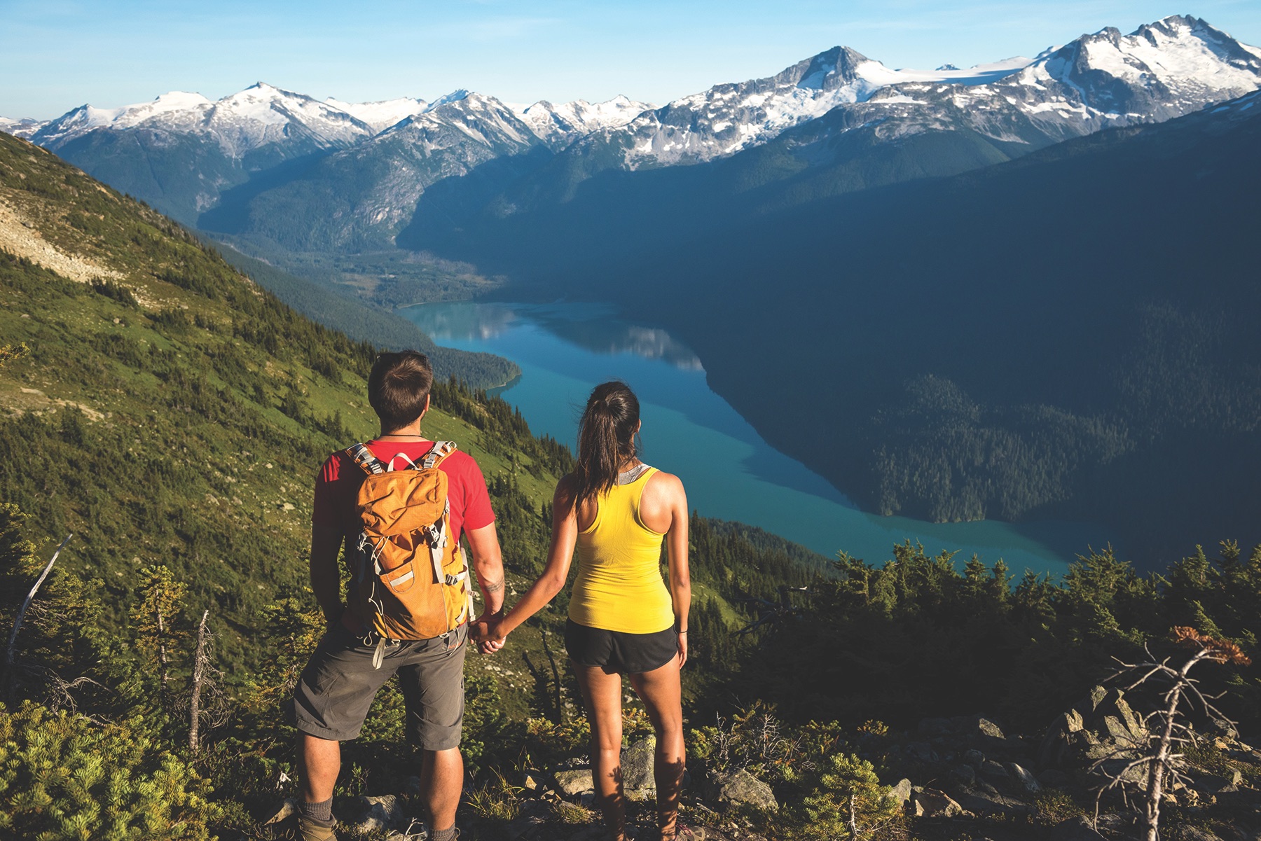 hiking, whistler, mountain, trail, adventure, outdoors