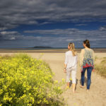 Mallahide Beech