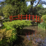 Japanese-Gardens